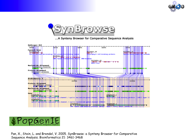 GBrowse synSlide4.png