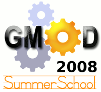 2008 GMOD Summer School